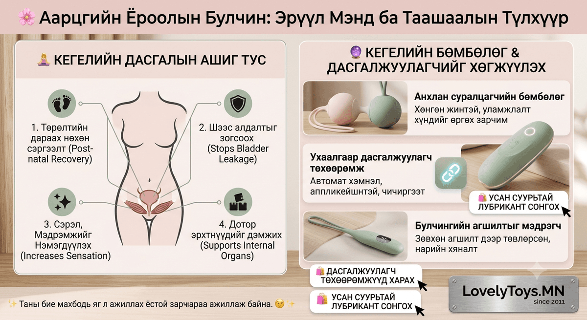 🌸 Аарцгийн ёроолын булчин яагаад чухал вэ? (Кегелийн дасгал ба Зөв сонголт)