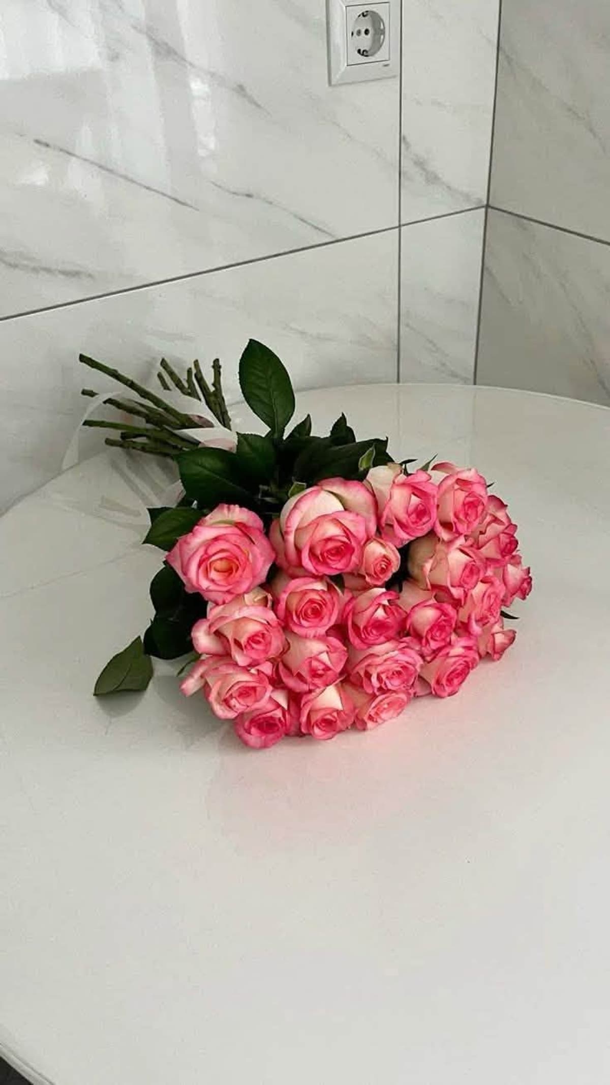 Bloom Moment